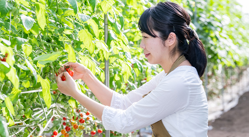 高橋農園のご紹介